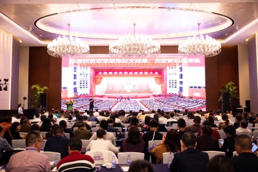 1618051359209917.jpg 12..jpg