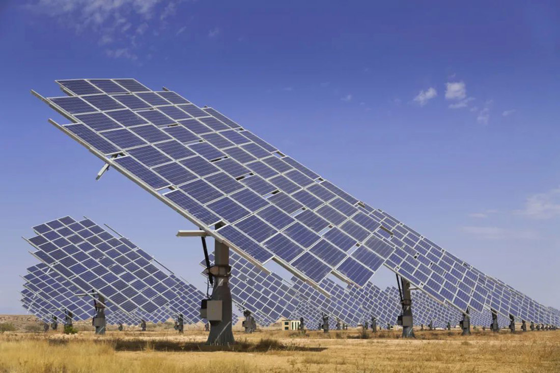 1703225197648893.jpg 5.jpg